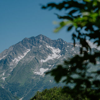 EQaIpZbG